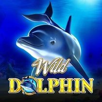 Wild Dolphin